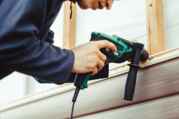 Best Siding Painting and Refinishing  in Addison, TX